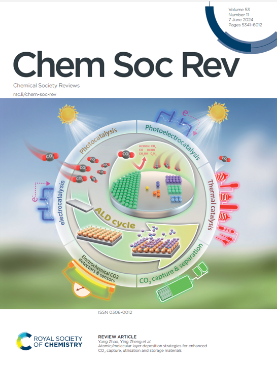 cover-chemsocrev.png